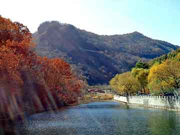 澳门最准的资料免费公开，水洗高岭土